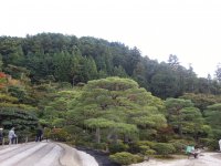 20121026_143835.jpg